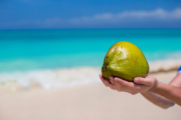 Closeup de coco nas mãos na praia