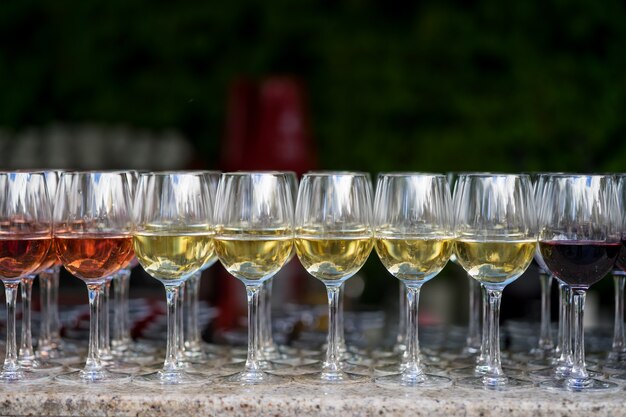Closeup de copos com vários tipos de vinho