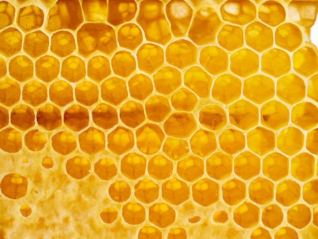 Closeup de favo de mel de abelha, doce fresco gotejante mel doce