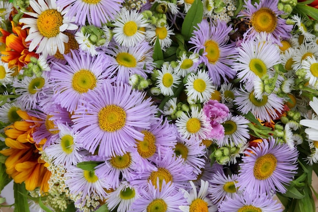 Closeup de fundo de flores de primavera Linda flor abstrata fundo da natureza