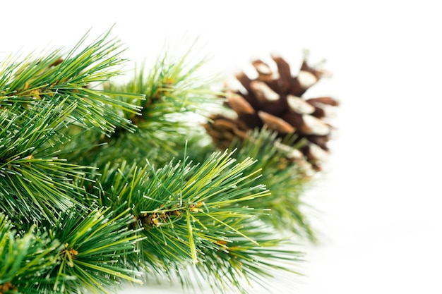 Closeup de galho de árvore de Natal com pinha isolado em fundo branco filmado em estúdio