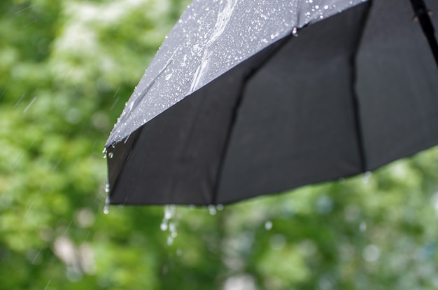 Closeup de gotas de chuva e guarda-chuva