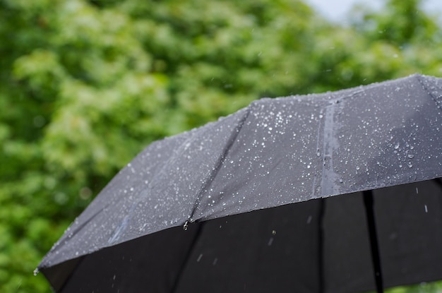 Closeup de gotas de chuva e guarda-chuva