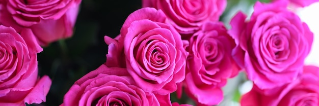 Closeup de grande buquê chique de fundo de rosas