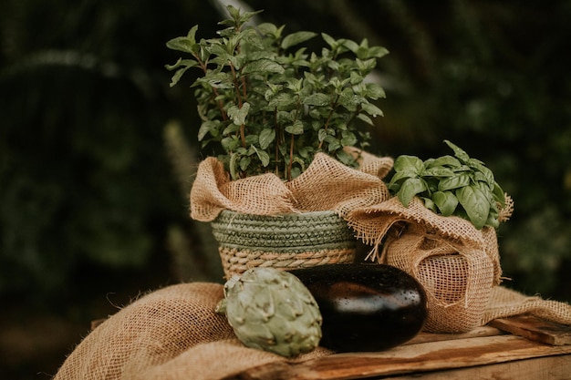 Closeup de hortelã em vaso e berinjela e uma alcachofra na mesa em um jardim