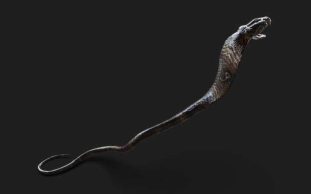 Foto closeup de ilustração 3d rei cobra serpente ataque pose isolado em fundo branco