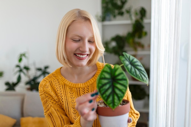 Closeup de linda mulher segurando a planta verde e olhando com um sorriso satisfeito segurando alocasia adora jardinagem e natureza tiro interior