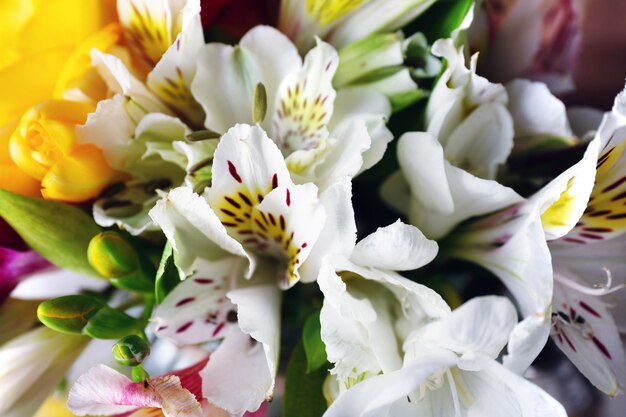 Closeup de lindas flores de primavera