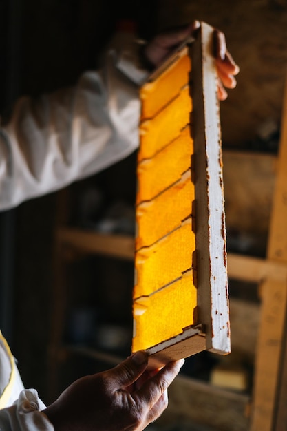 Closeup de mãos de apicultor examinando o quadro de colmeia de abelhas com células cheias de mel