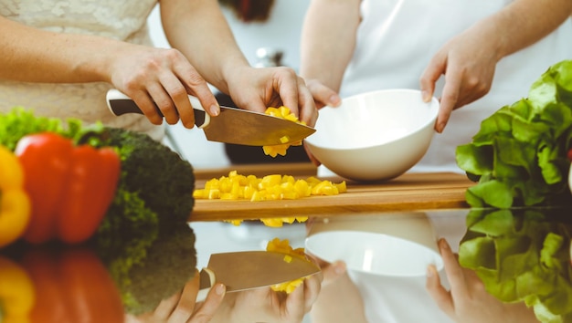 Closeup de mãos humanas cozinhando na cozinha. Mãe e filha ou duas amigas cortando legumes para salada fresca. Conceitos de amizade, jantar em família e estilo de vida.