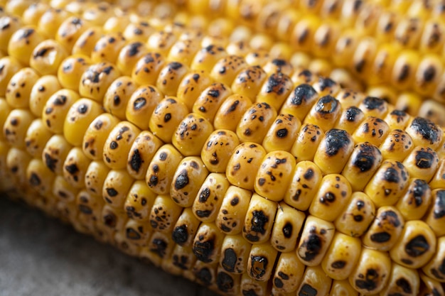 Closeup de milho grelhado em fundo de concreto comida tradicional americana de férias