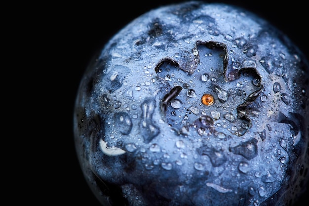 Closeup de mirtilo em gotas de água em um fundo escuro