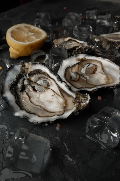 Closeup de ostras frescas em fundo escuro servido mesa com ostras limão e gelo Frutos do mar saudáveis Comida gourmet vista superior
