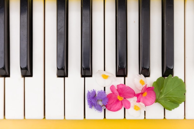 Closeup de teclas de piano de piano amarelo com belas flores brilhantes conceito de música