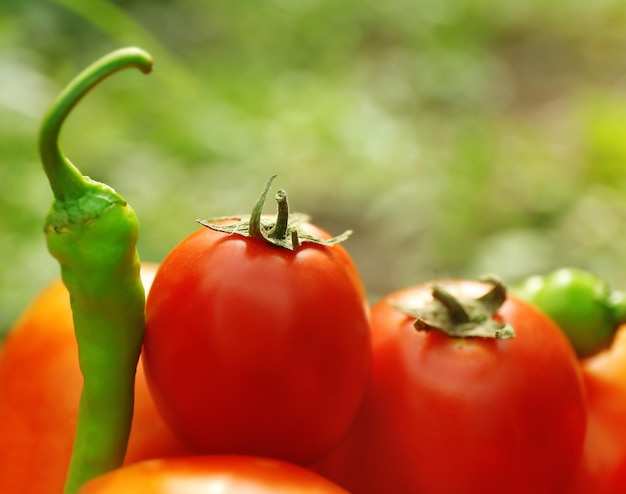 Closeup de tomate e pimenta