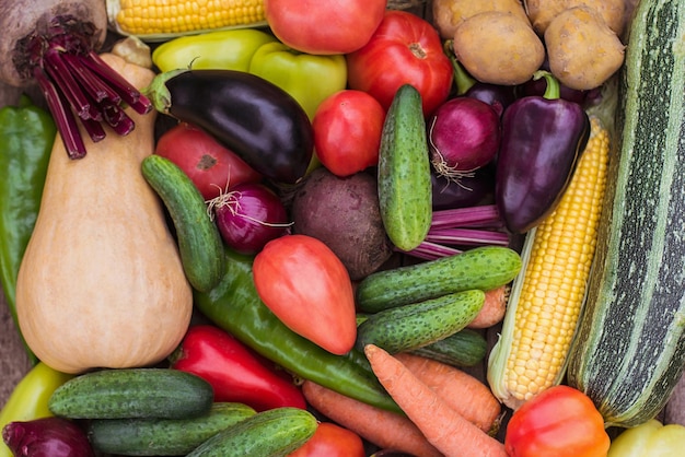 Closeup de uma colheita fresca de legumes colheita de um agricultor uma horta Ecoprodutos vegetarianismo proteína alternativa nutrição vegetal