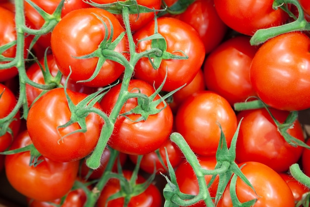 Closeup deliciosos tomates cherry rojos. Bandeja de verano mercado agricultura granja llena de verduras orgánicas. Alimentación saludable. Se puede usar como a. (enfoque selectivo)