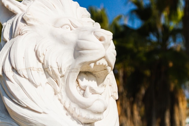 Closeup escultura branca de um leão no jardim