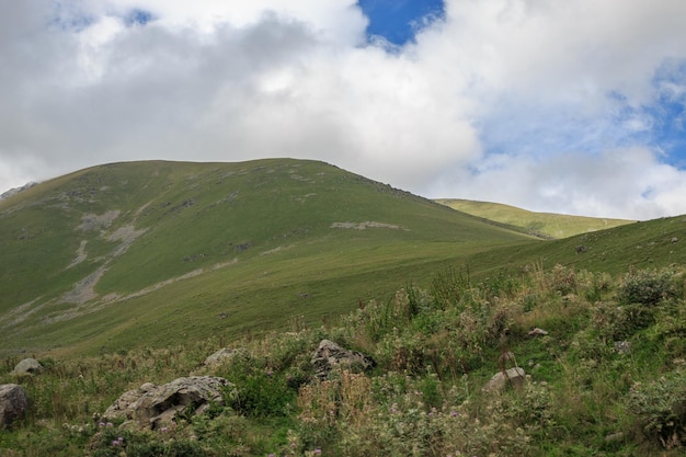 Closeup exibição de cenas de montanhas no Parque Nacional Dombai, Cáucaso, Rússia, Europa. Paisagem de verão, clima ensolarado, céu azul dramático e dia ensolarado