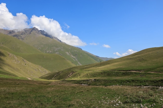 Closeup exibição de cenas de montanhas no Parque Nacional Dombai, Cáucaso, Rússia, Europa. Paisagem de verão, clima ensolarado, céu azul dramático e dia ensolarado