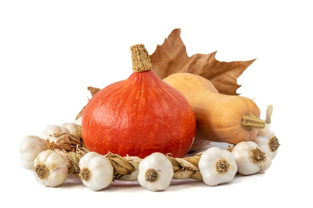 Closeup foto de calabazas y ajo sobre fondo blanco.