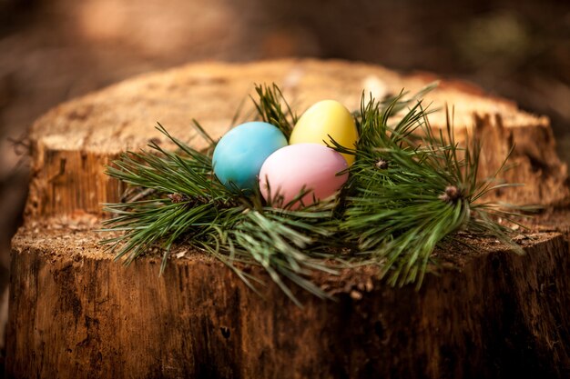 Closeup foto de huevos de pascua en tocón