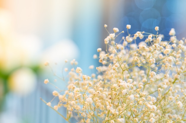 Closeup fotografia de um buquê de flores