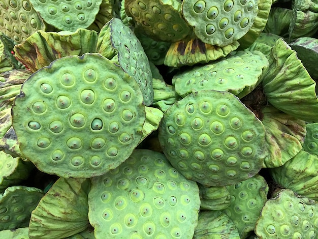 Closeup frische Lotus Fruits