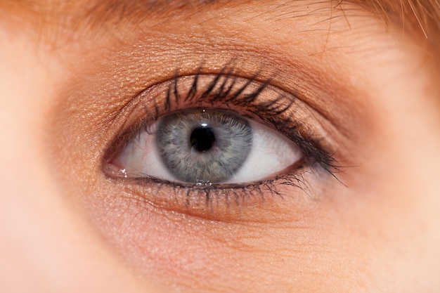 Closeup, jovem, mulher, olho azul, dia, maquilagem