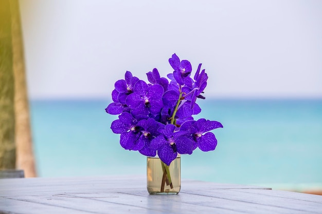 Closeup lindo buquê de orquídeas azuis flor em uma mesa de madeira branca perto do mar Tailândia