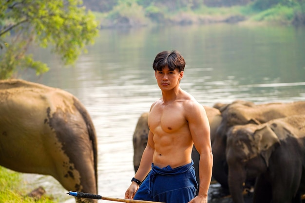 Closeup mahout asiático bonito com corpo perfeito atuando para uma sessão de fotos no rebanho de elefantes asiáticos