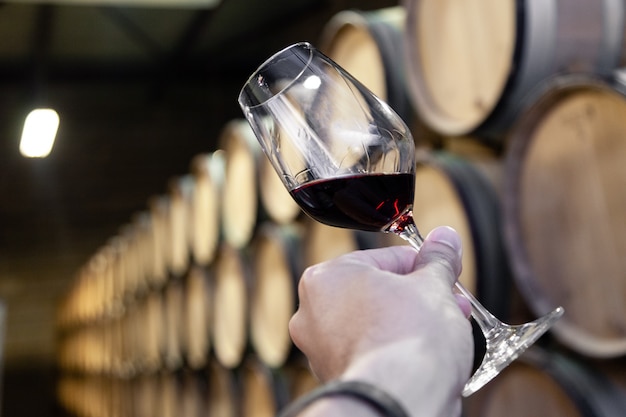 Closeup mano con vaso de vino tinto en el fondo de madera de barriles de roble apilados en filas rectas en orden, antigua bodega de la bodega.