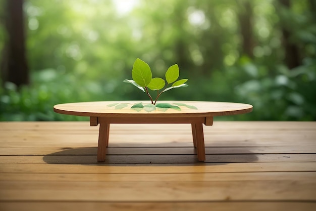 CloseUp de una mesa de madera vacía en medio del ecoactivismo