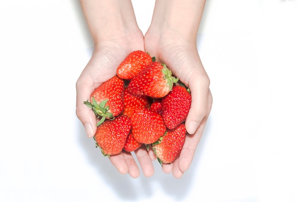 Closeup mujer sosteniendo fresas con ambas manos sobre un fondo blanco.