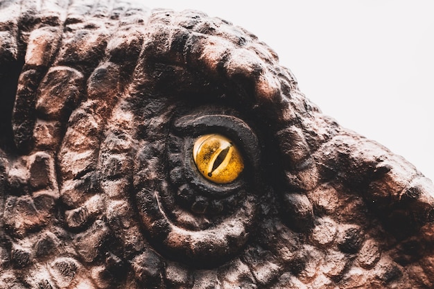 Closeup olho amarelo dos dinossauros com aterrorizante. Os caçadores de dinossauros estão olhando com olhos amarelos horríveis. Olho de dinossauro.