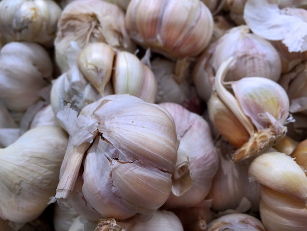 Closeup Pile of Garlic