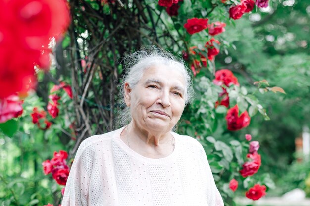 Closeup retrato de una anciana arrugada de pelo gris en un parque cerca de una rosa silvestre