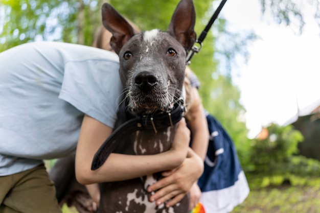 Closeup retrato de un perro con pedigrí xoloitzcuintli mexicano desnudo y los niños lo abrazan un hermoso