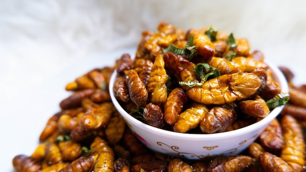 Closeup sabor aceitoso y gusanos de seda salados Insecto gusano de comida para comer