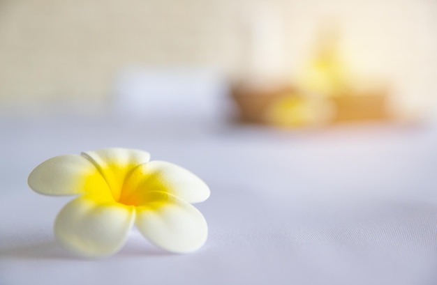 Closeup tiro de massagem tailandesa material toalha de ervas compressa bola, óleo de coco, perfume, cosméticos e flor de plumeria na bandeja de madeira, colocando na cama de massagem na terapia de spa, preparando-se para o cliente.