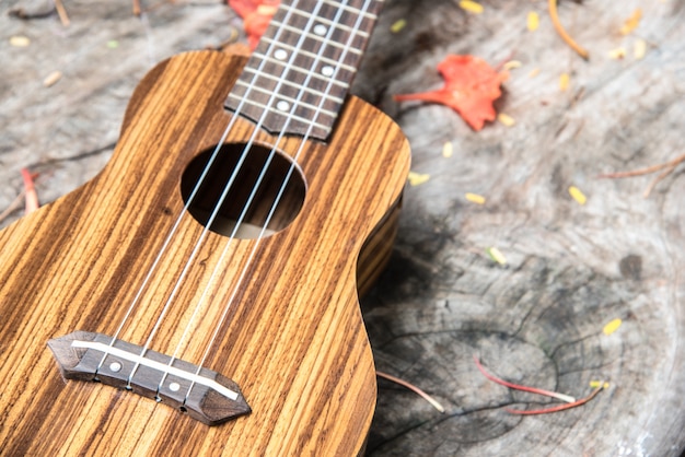 Closeup ukulele en la mesa de madera