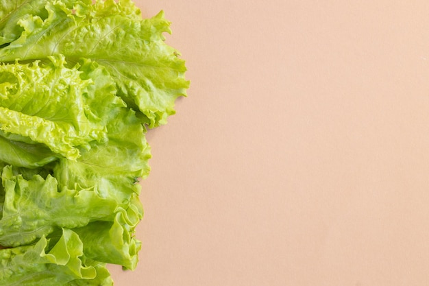 Closeup verde orgânico fresco com folhas de planta de salada de alface em sistema agrícola de hortaliças hidropônicas