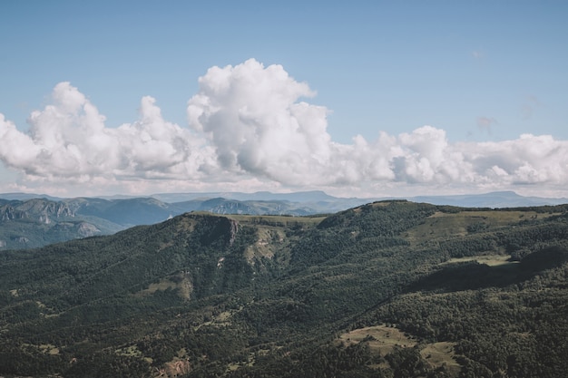 Closeup vista montanhas e cenas de vale no parque nacional dombai, cáucaso, rússia, europa. paisagem de verão, clima ensolarado, céu azul dramático e dia ensolarado