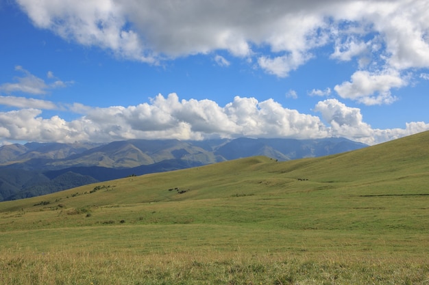 Closeup vista montanhas e cenas de vale no Parque Nacional Dombai, Cáucaso, Rússia, Europa. Paisagem de verão, clima ensolarado, céu azul dramático e dia ensolarado