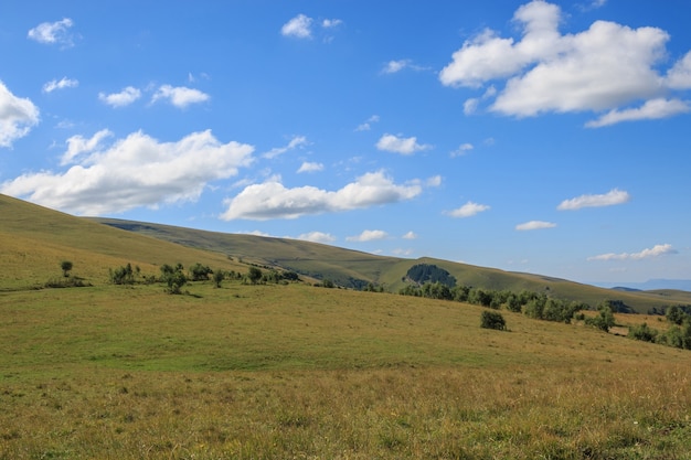 Foto closeup vista montanhas e cenas de vale no parque nacional dombai, cáucaso, rússia, europa. paisagem de verão, clima ensolarado, céu azul dramático e dia ensolarado