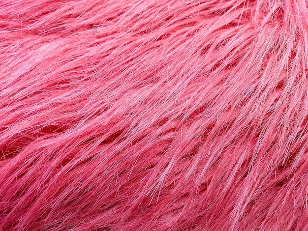 Closup of pink Fur background Pink Hairy fur background