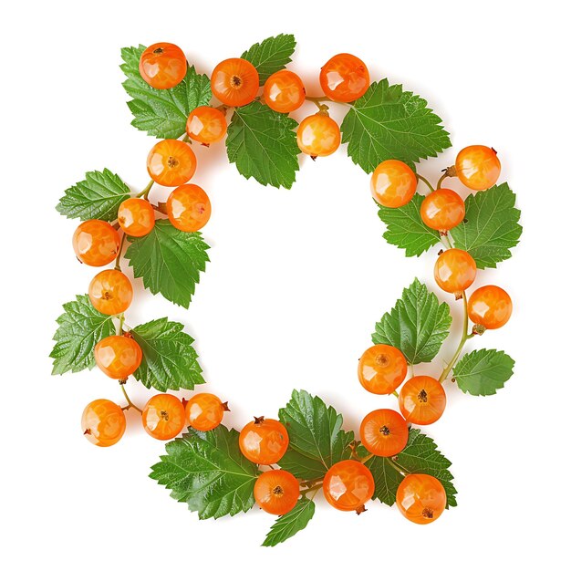 Foto cloudberry fruit en diapositivas circulares y flotando con fotos aisladas de naranja en blanco limpio bg