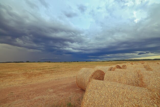 cloudscape campo feno rolos céu nuvens outono, clima sombrio agricultura