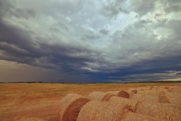 cloudscape campo feno rolos céu nuvens outono, clima sombrio agricultura