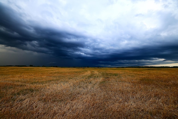 cloudscape campo feno rolos céu nuvens outono, clima sombrio agricultura